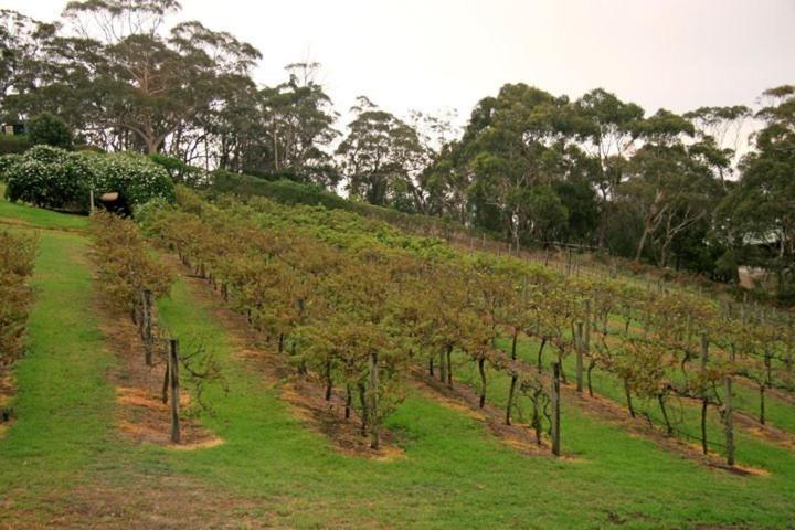 ジョージス ブティック B&B&コリナリー リトリート Arthurs Seat エクステリア 写真
